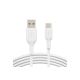 Pack Twin BELKIN Câble USB USB-C - 1 mètre - PVC - blanc- CAB001BT1MWH2PK