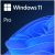 Microsoft Windows 11 Professionnel, 64-bits - OEM - ESD